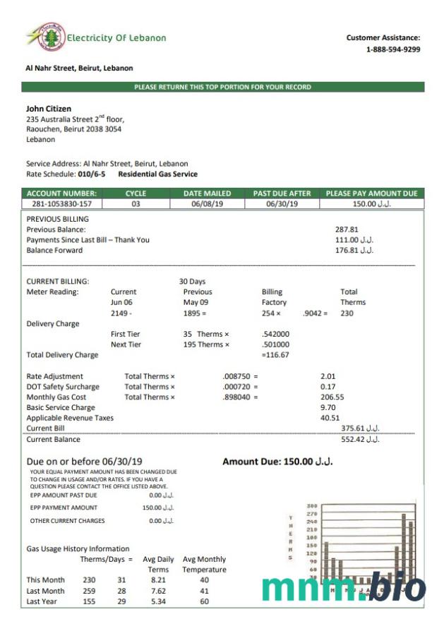 Liban energii elektrycznej Libanu rachunek za media szablon w formacie Word i PDF